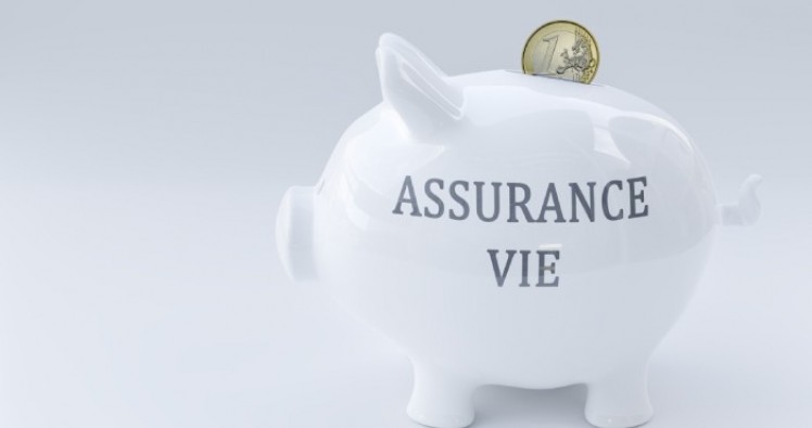 Assurance vie : quel sera le rendement pour 2023 ?